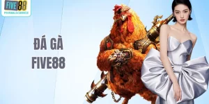 đá gà Five88