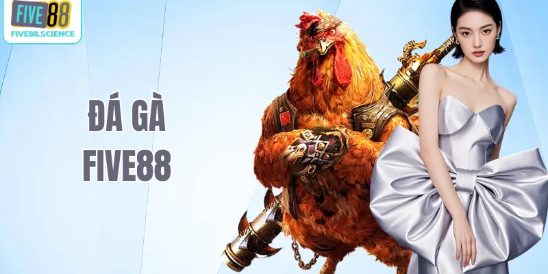 đá gà Five88