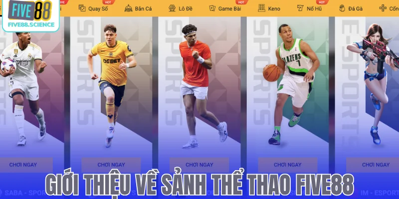 Giới thiệu về sảnh thể thao Five88