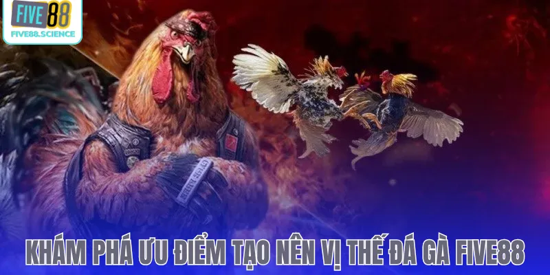 Khám phá ưu điểm tạo nên vị thế đá gà Five88