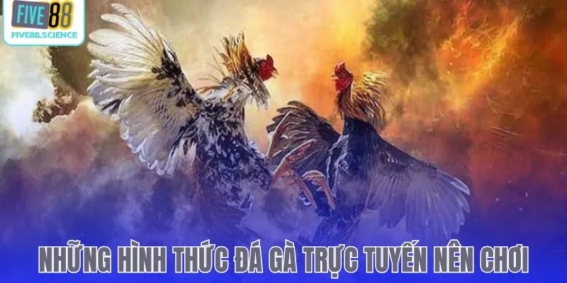 Những hình thức đá gà trực tuyến nên chơi