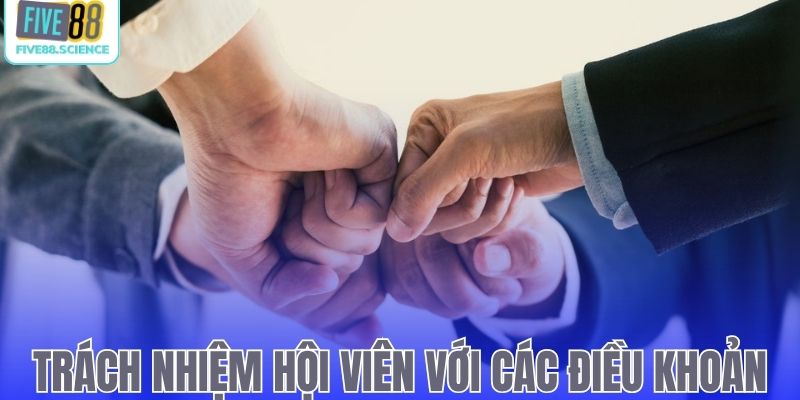 Trách nhiệm hội viên đối với các điều khoản hệ thống